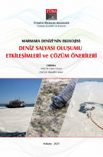 Marmara Denizi'nin Ekolojisi: Deniz Salyası Oluşumu, Etkileşimleri ve Çözüm Önerileri